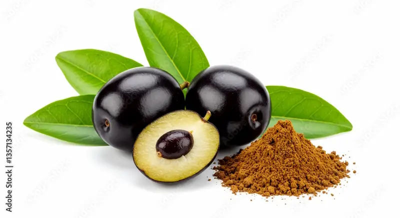 Plums in Ayurveda Health Benefits, Uses, and Side Effects